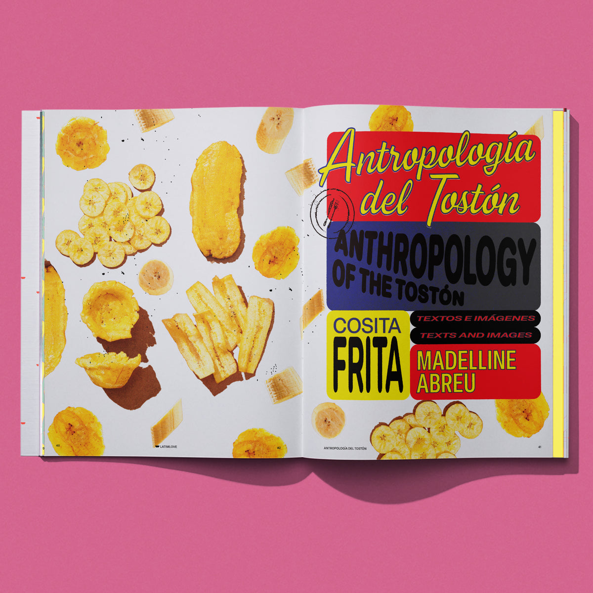 Issue 002: Astrid Hadad y Leche de Alien